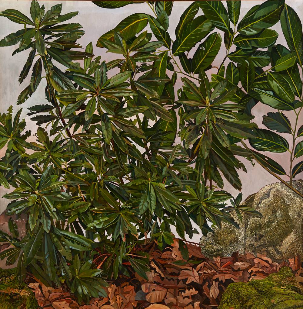 FOREST SCENE WITH RHODODENDRON LEAVES by Philip Moss sold for 2,000 at Whyte's Auctions