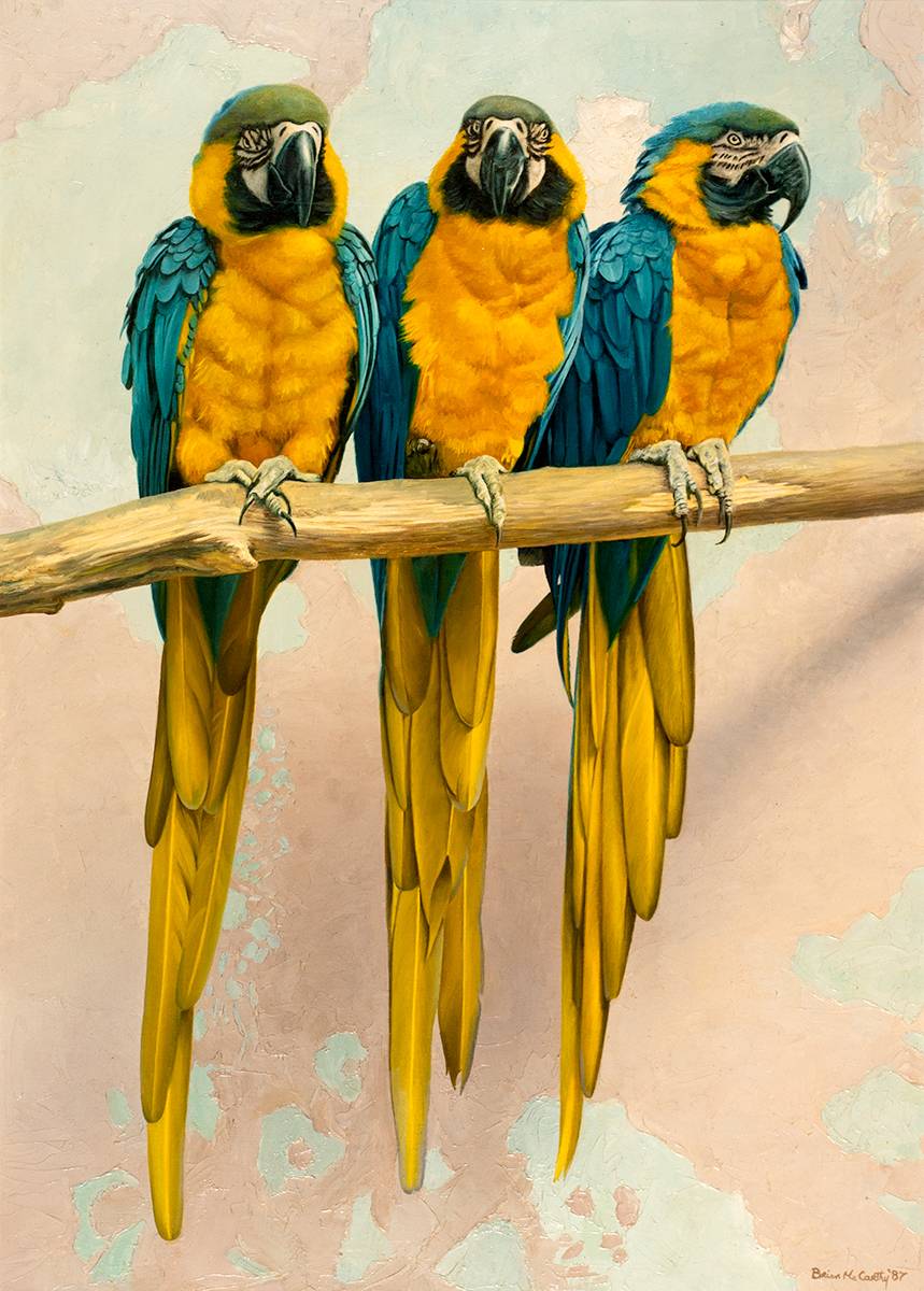 BLUE AND YELLOW MACAW, 1987 by Brian McCarthy sold for 950 at Whyte's Auctions