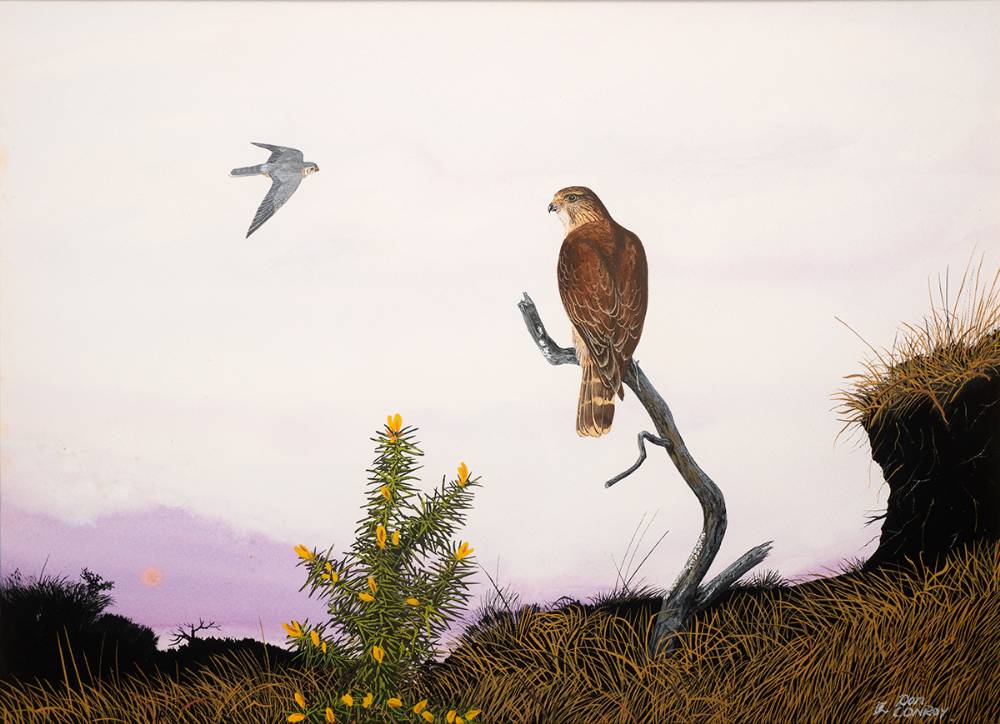 BIRDS by Don Conroy sold for 210 at Whyte's Auctions