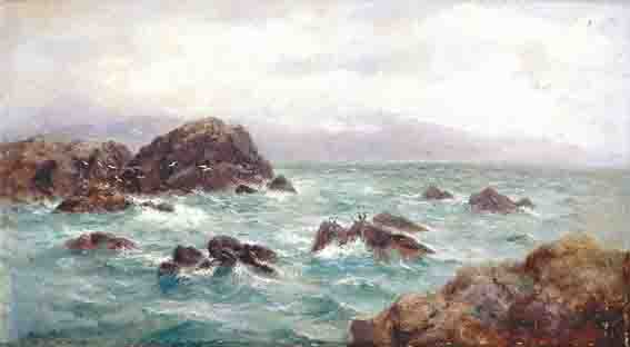 GANNETS ON A ROCK, OFF THE COAST OF ACHILL by Alexander Williams RHA (1846-1930) at Whyte's Auctions