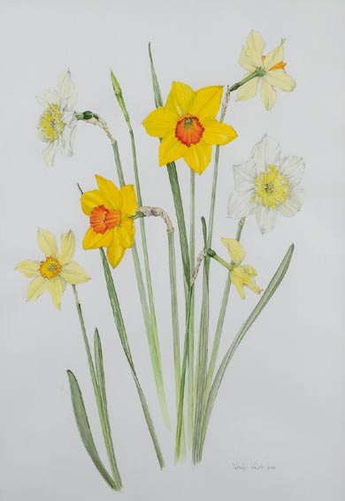 DAFFODILS by Wendy F. Walsh (1915-2014) at Whyte's Auctions