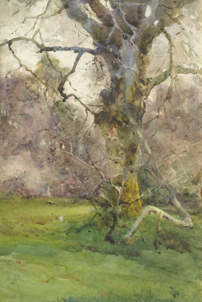 TREE IN THE GROUNDS AT KILMURRY, COUNTY KILKENNY by Mildred Anne Butler sold for 1,900 at Whyte's Auctions