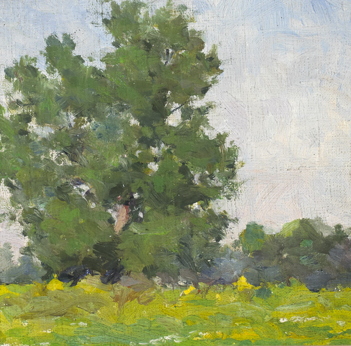 TREES STUDY, SUMMERTIME by Michael Healy (1873-1941) at Whyte's Auctions
