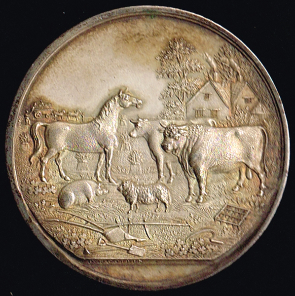 Irish Agricutural silver medals. at Whyte's Auctions
