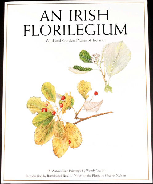 Walsh, Wendy. An Irish Florilegium: at Whyte's Auctions