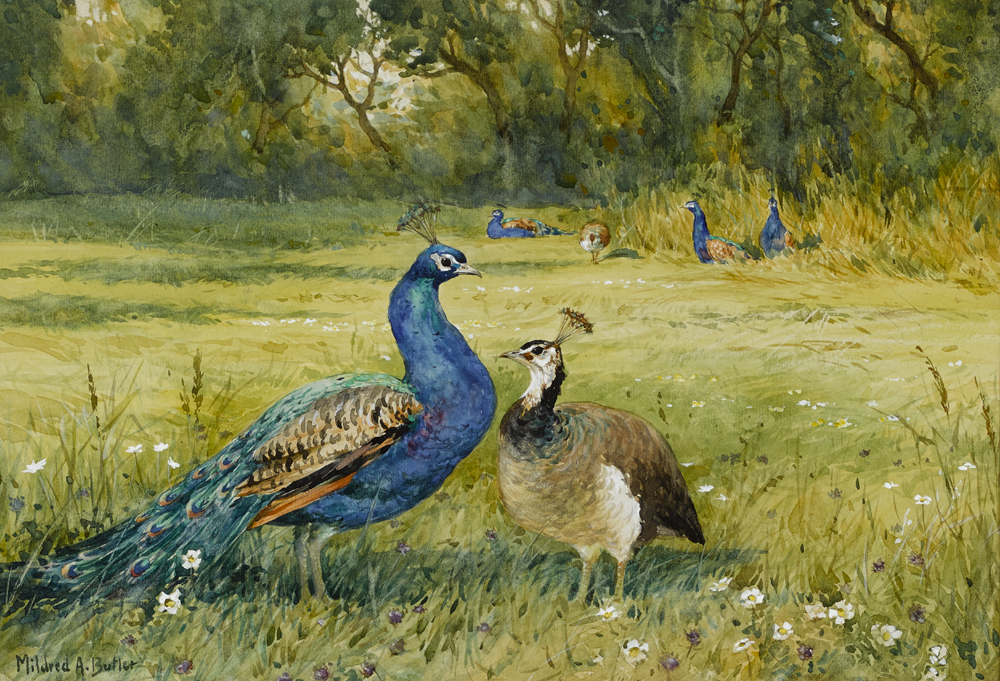 PEACOCKS AT KILMURRY, COUNTY KILKENNY by Mildred Anne Butler sold for 1,900 at Whyte's Auctions