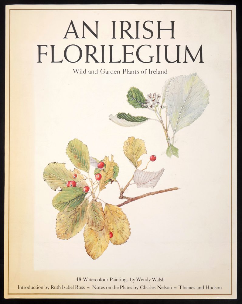 Walsh, Wendy. An Irish Florilegium. at Whyte's Auctions