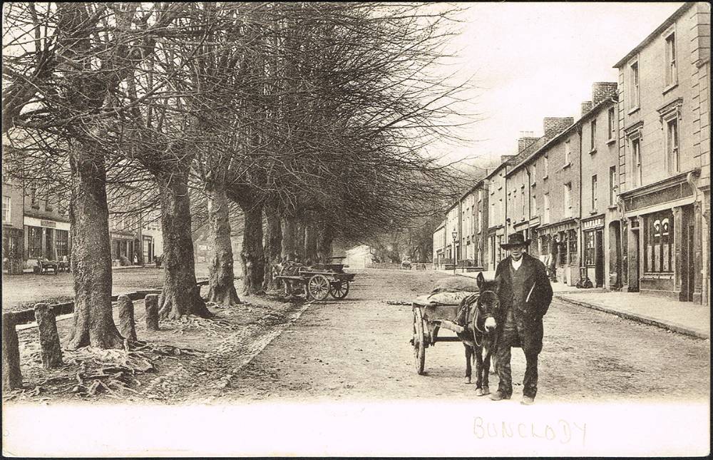 Postcards. Co. Wexford: Bunclody (Newtonbarry). (14) at Whyte's Auctions