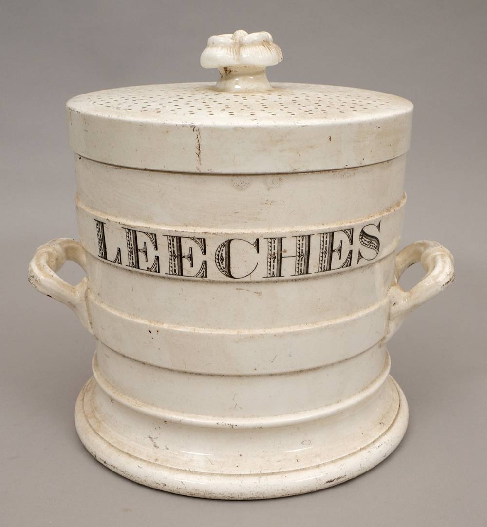 Early 19th Century leeches jar. at Whyte's Auctions