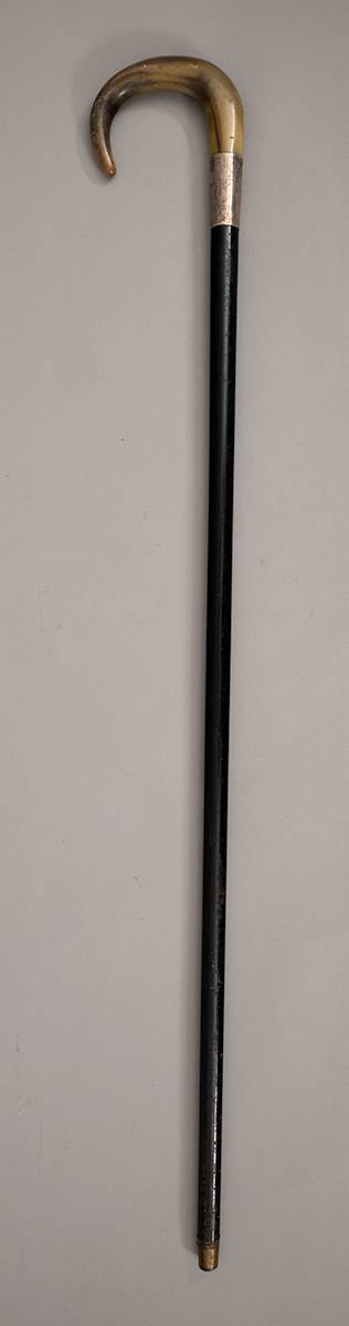 A 19th/early 20th century walking stick. at Whyte's Auctions